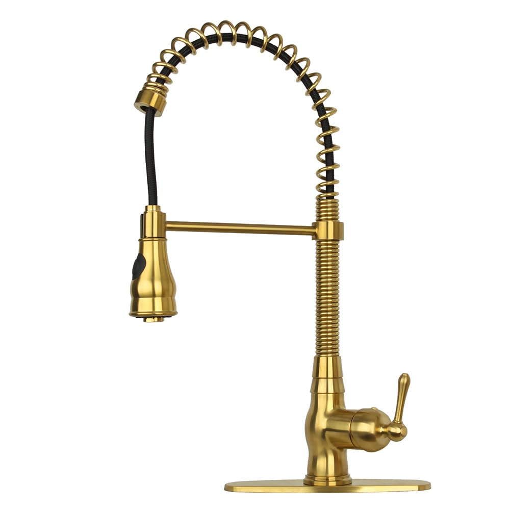 Akicon One-Handle Pull-Down Kitchen Faucet with Pre-Rinse Sprayer - High Arc Spring Spout for Modern Sink, Perfect for Washing Dishes, Filling Pots & Daily Kitchen Tasks