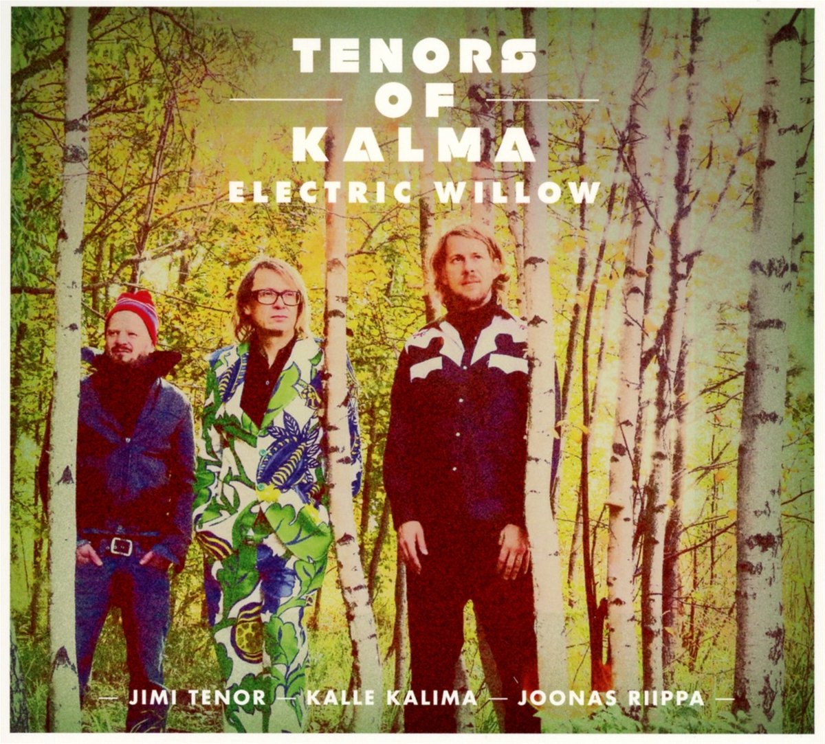Tenors of Kalma: Premium Electric Willow Guitar for Professional Musicians - Perfect for Live Performances, Studio Recording & Stage Shows