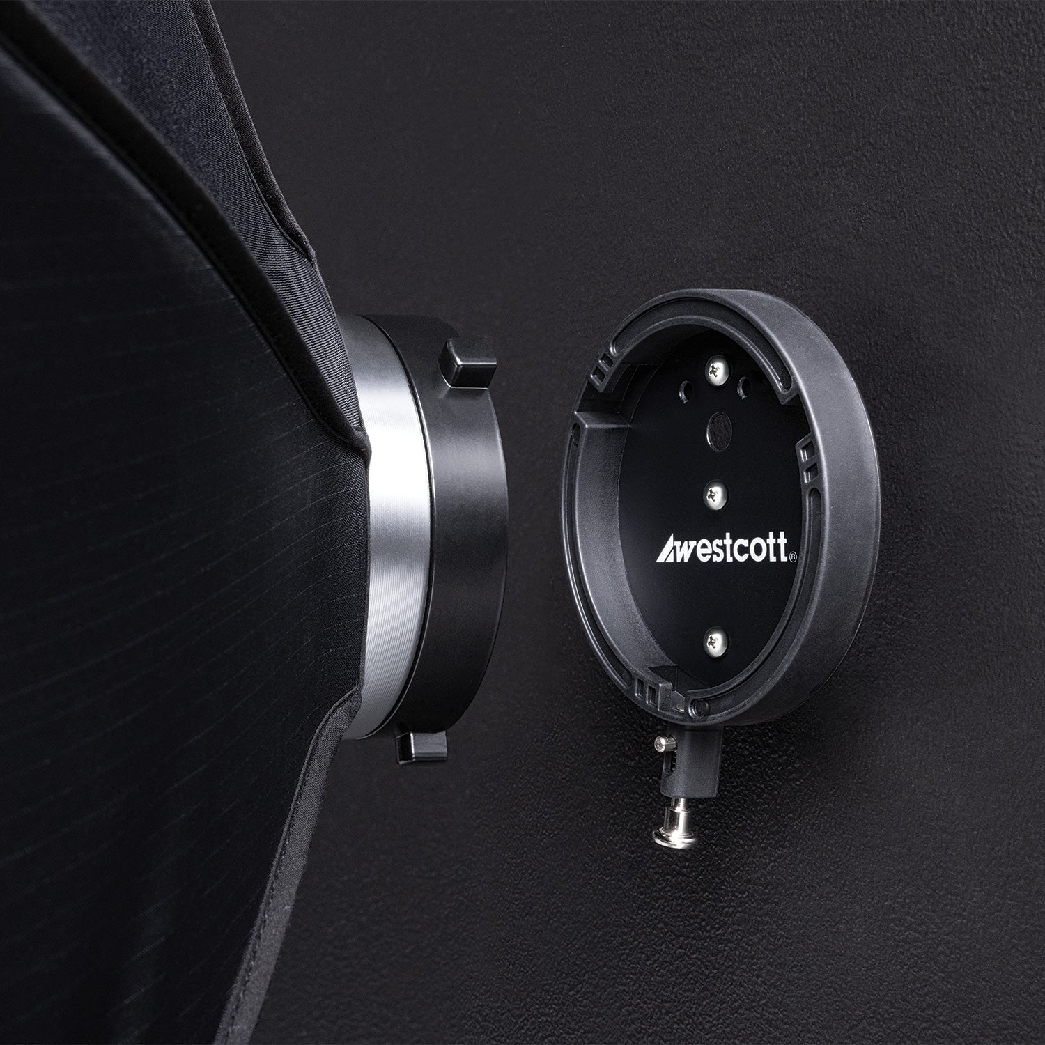 Lindsay Adler Float Wall Mount Speedring for Bowens Mount - Perfect for Studio Photography & Video Lighting Setups