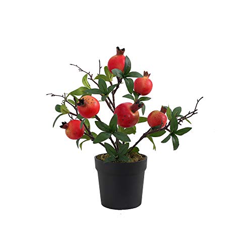 Pomegranate-large