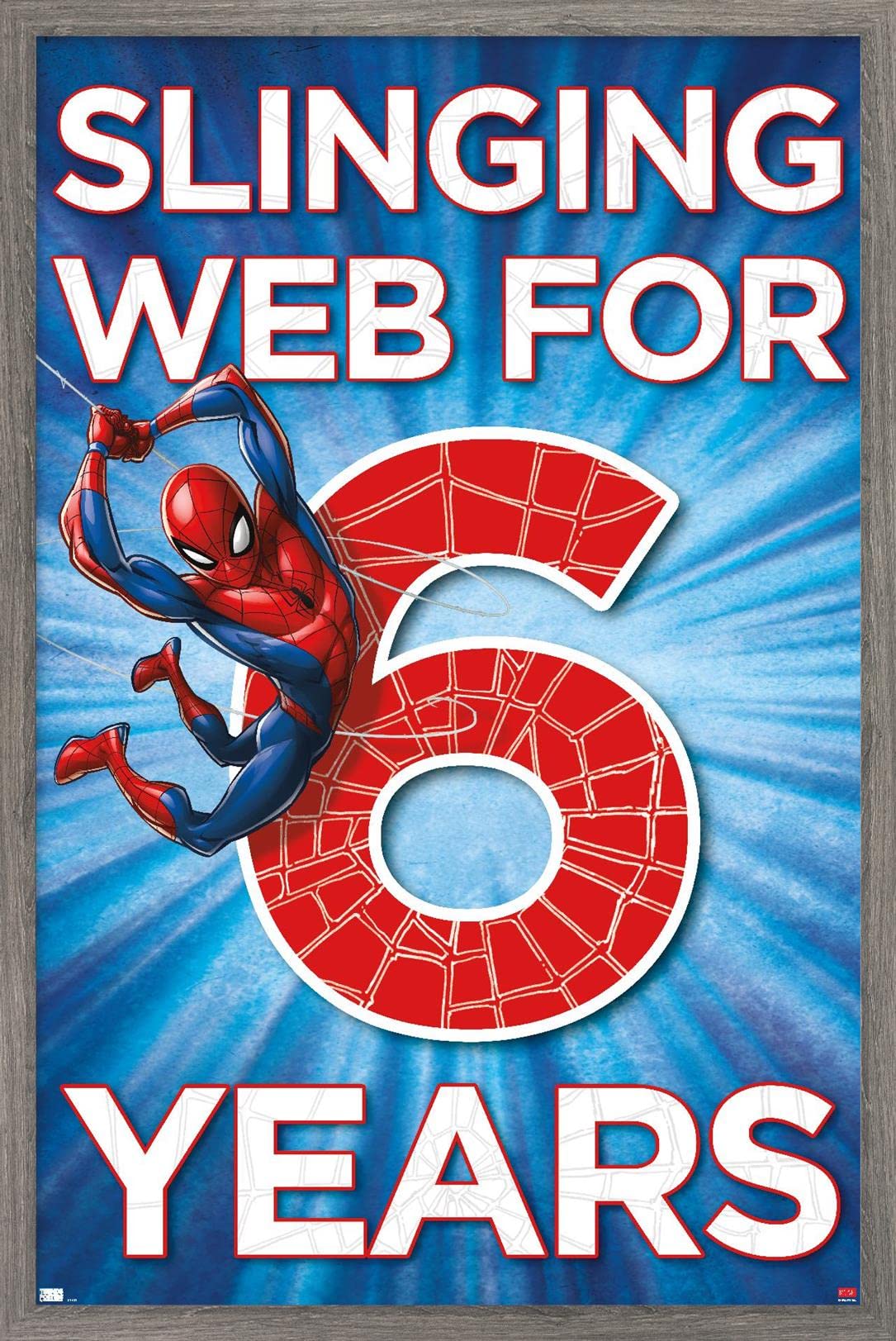 Marvel Spider-Man Happy 6th Birthday Wall Poster - 34