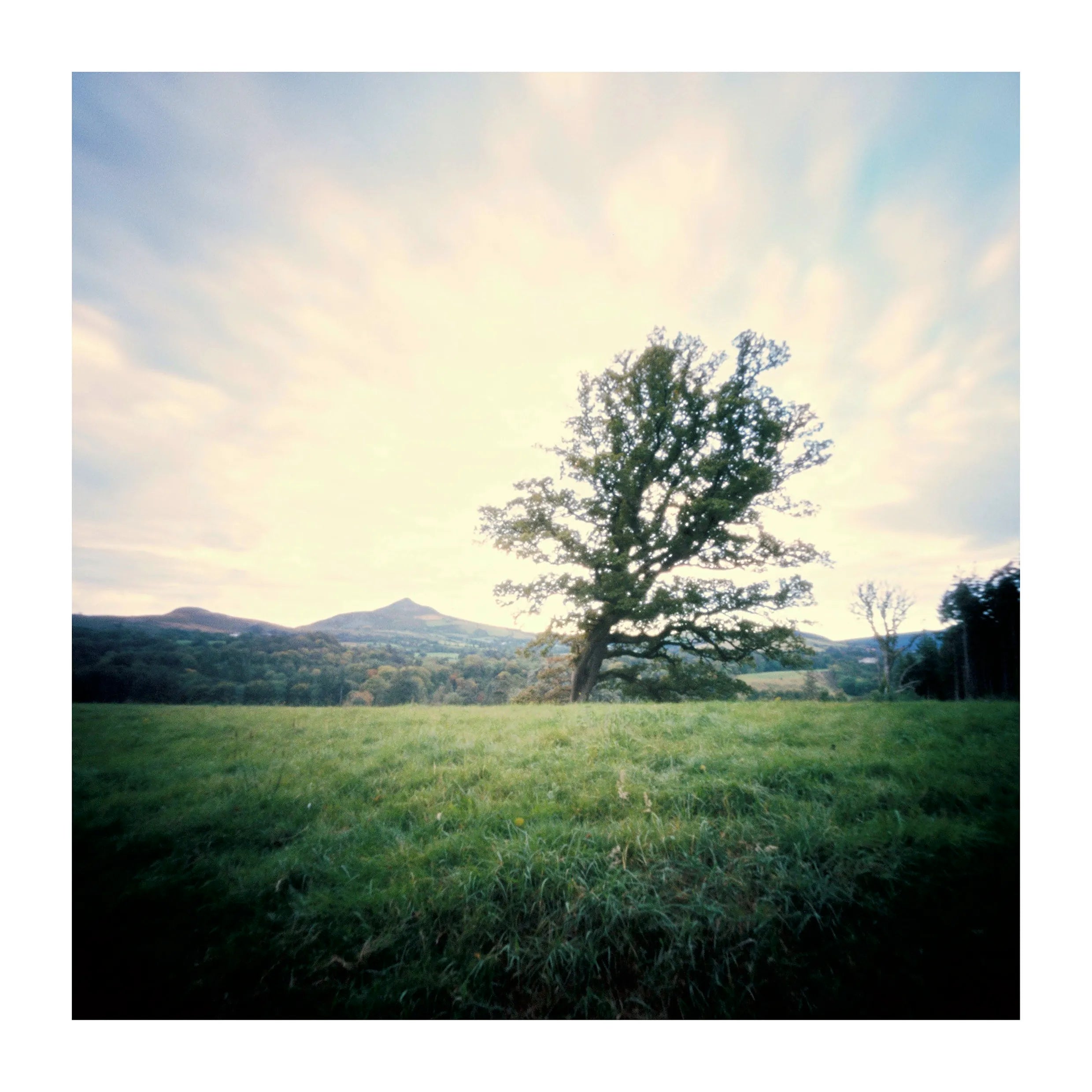 Natura Obscura by Barry Duggan - Unique Handcrafted Home Decor & Wall Art for Living Room, Bedroom, and Office