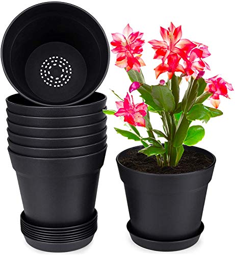 Black-8pcs