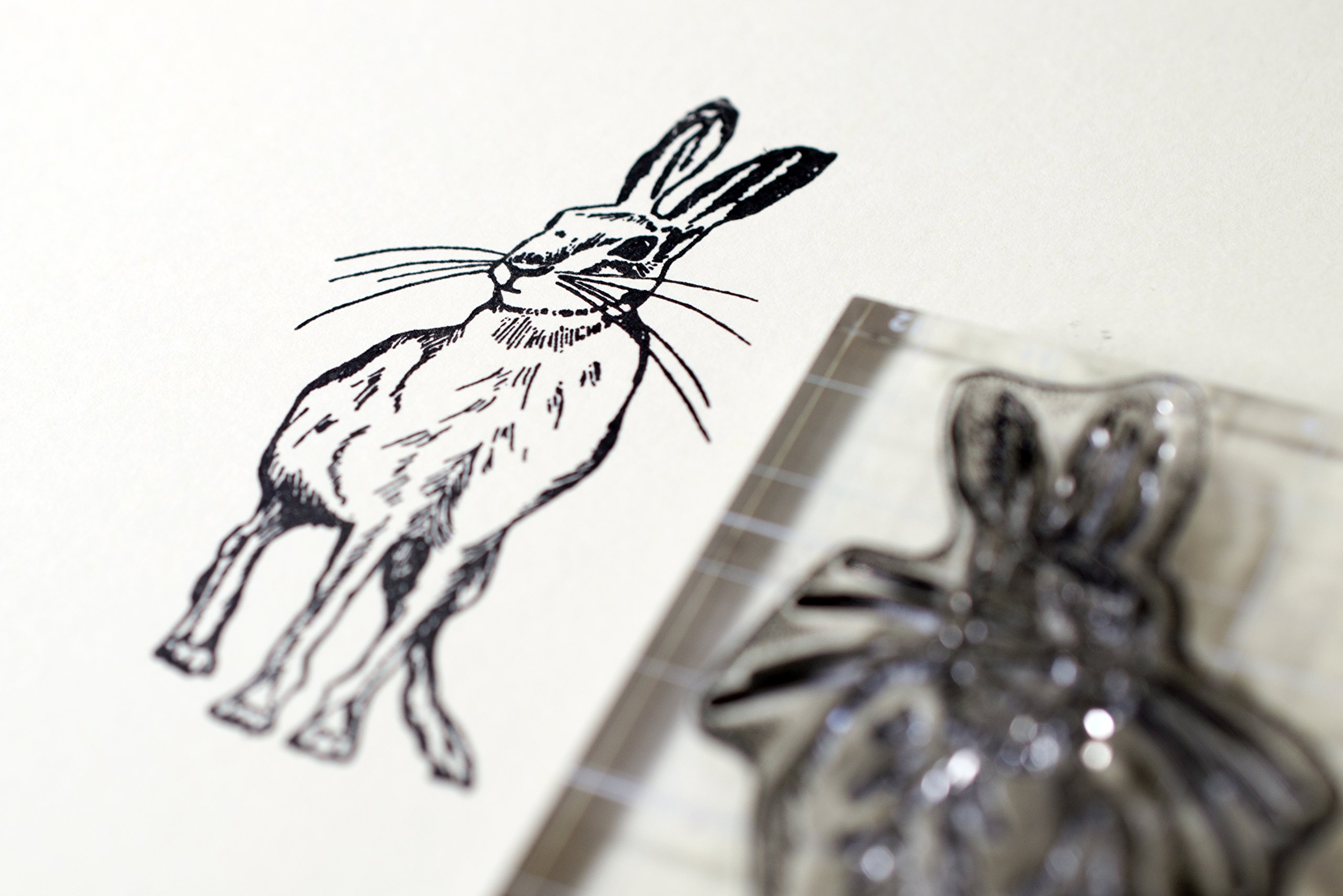 Craft Consortium Premium Craft Supplies for DIY, Scrapbooking & Card Making - Perfect for Home Decor, Gift Wrapping & Creative Projects