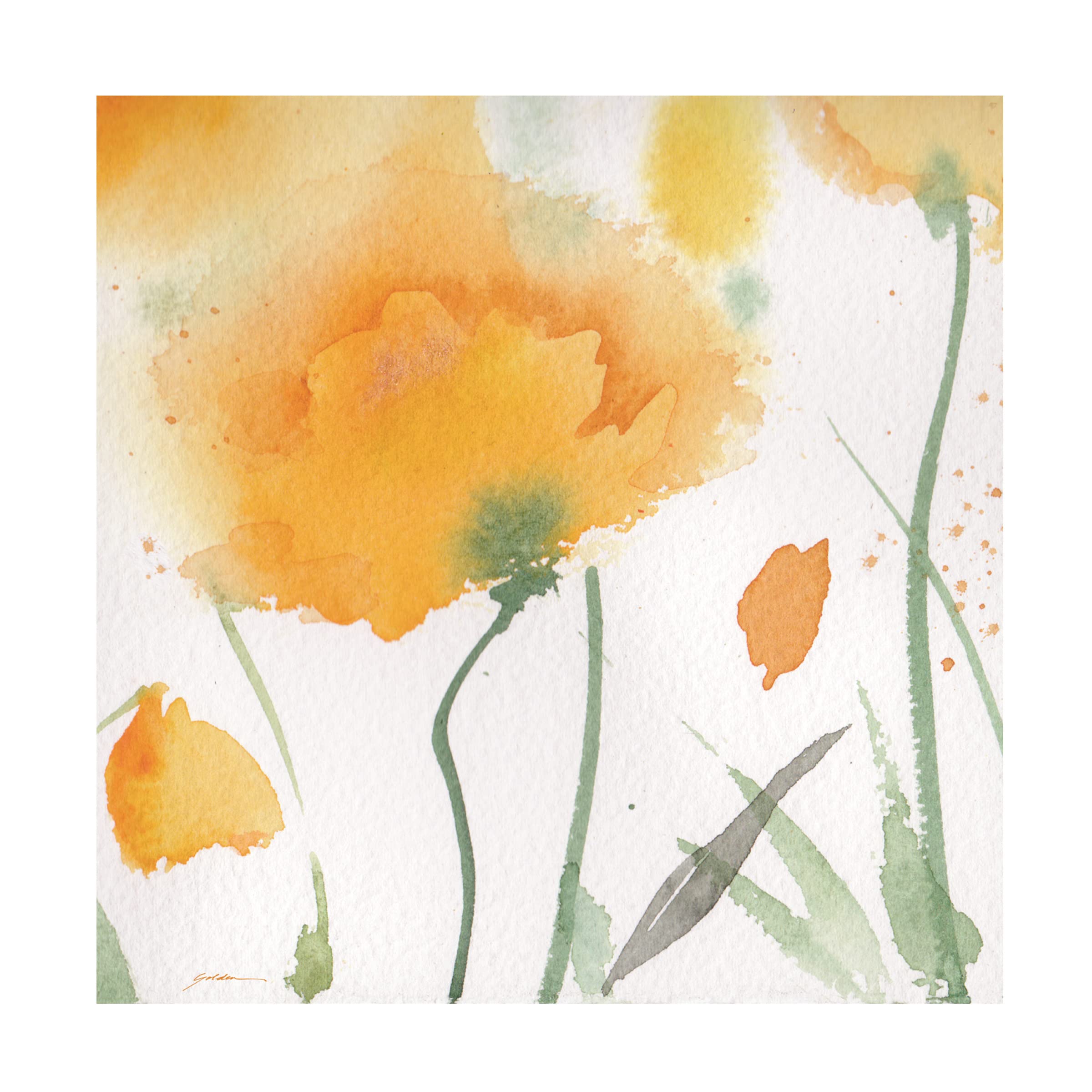 Trademark Fine Art 'Shadow Of The Poppy' Canvas Wall Art by Sheila Golden - Floral Home Decor for Living Room, Bedroom & Office