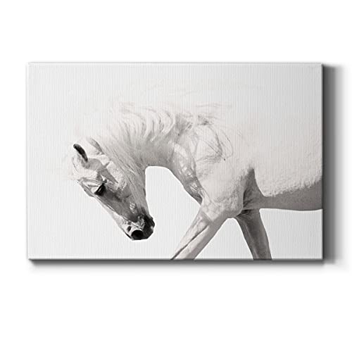 Neutral Stallion