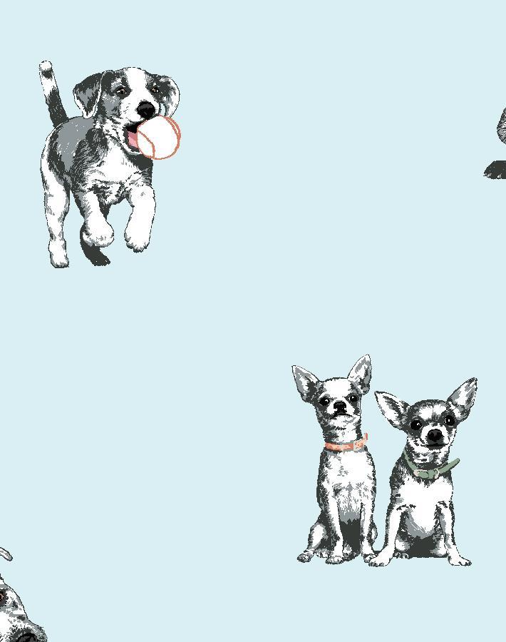 Nathan Turner Mutts Wallpaper - Sky Blue Dog Pattern Peel & Stick Wallpaper for Nursery, Kids Room & Pet-Friendly Home Decor