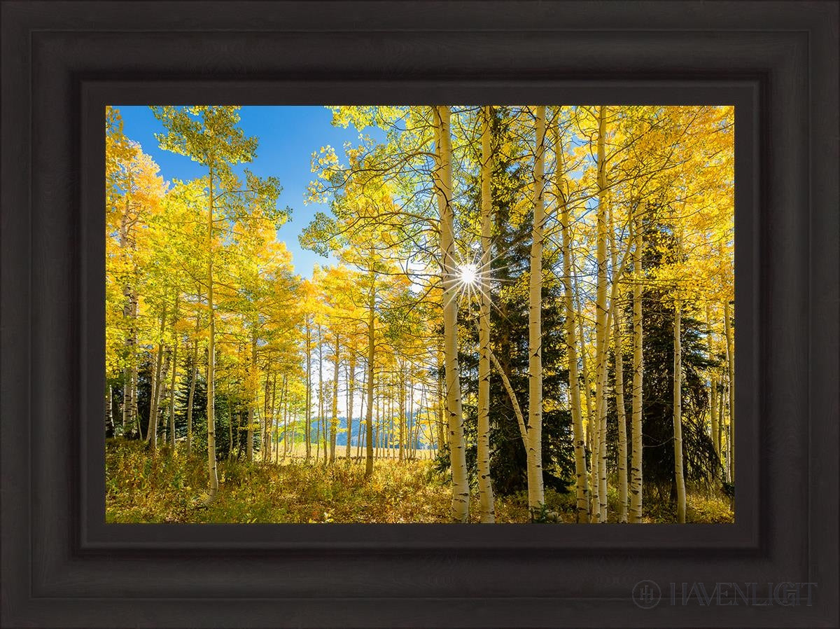 Autumn in the Rocky Mountains - Stunning Fall Foliage at Wasatch National Forest Utah | Perfect for Hiking, Photography & Nature Exploration