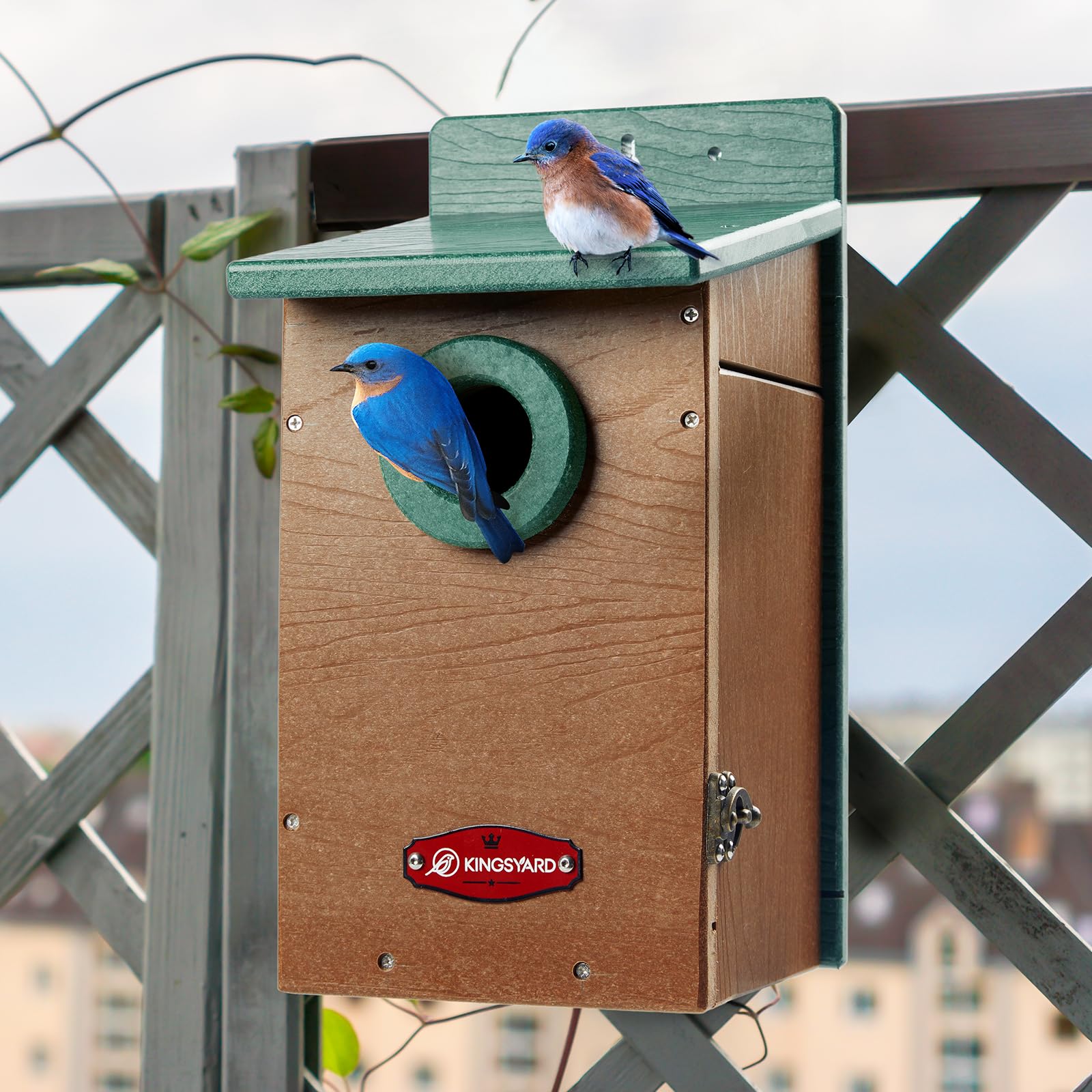 Recycled Plastic Bird House with Guard for Outdoor Garden Birdwatching