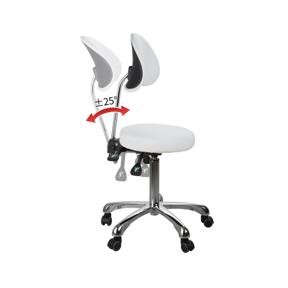 Silverfox Rolling Stool with Back Support - Adjustable Height 1025D Ergonomic Rolling Chair for Salon, Tattoo, Massage & Office Use - Heavy Duty Swivel Stool with Wheels for Beauty Professionals & Home