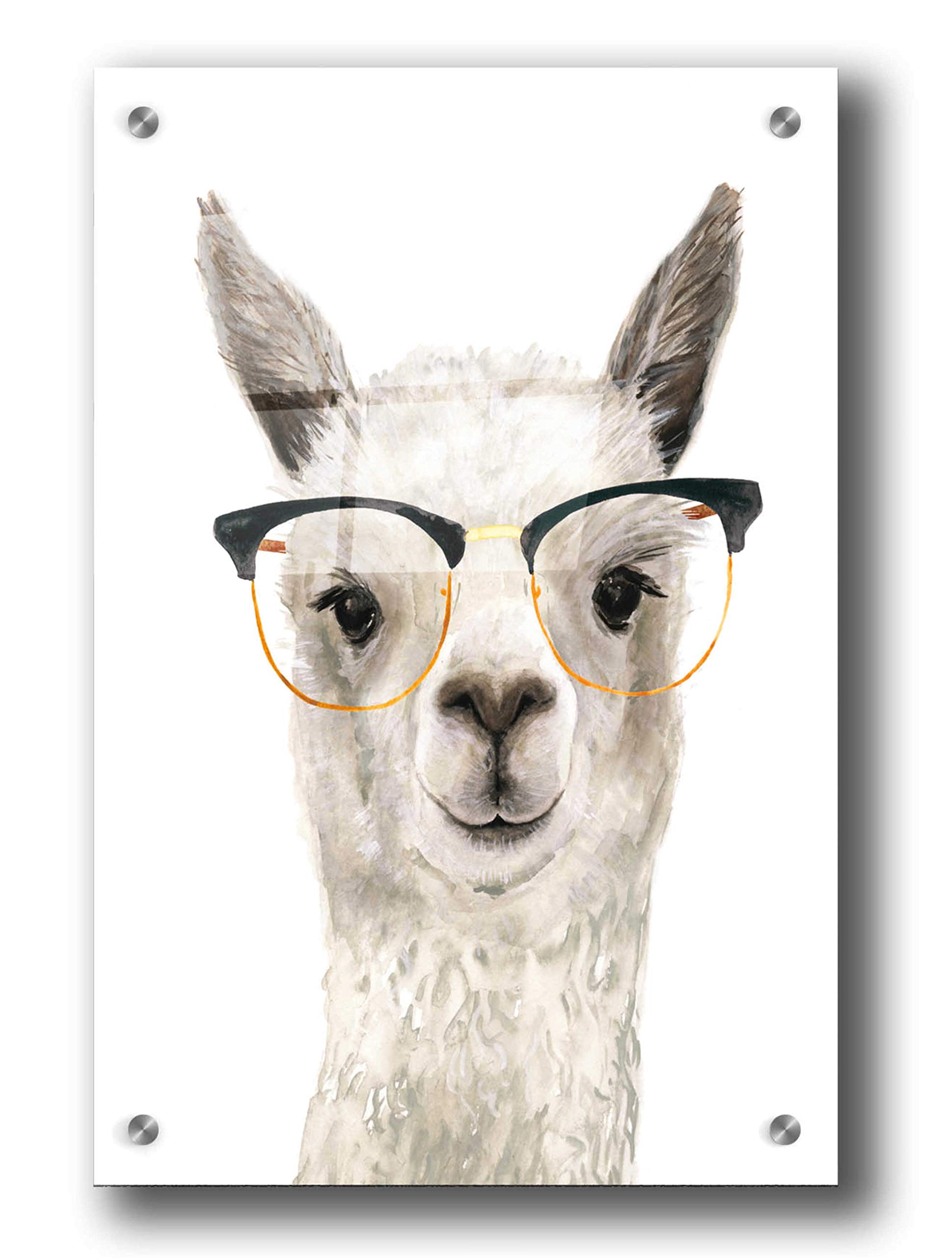 Epic 'Hip Llama IV' Acrylic Glass Wall Art Print by Victoria Borges - 24x36 Inches Modern Home Decor for Living Room, Bedroom & Office