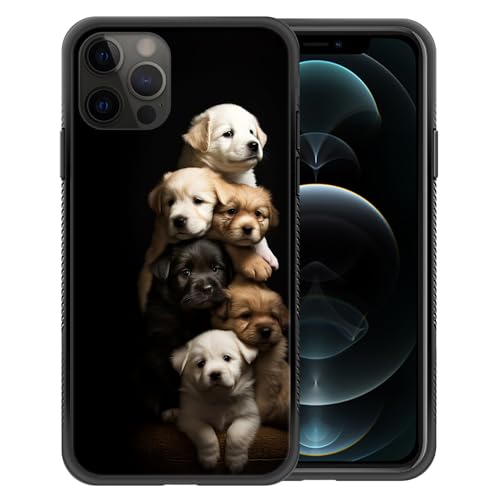 Cute Little Dogs