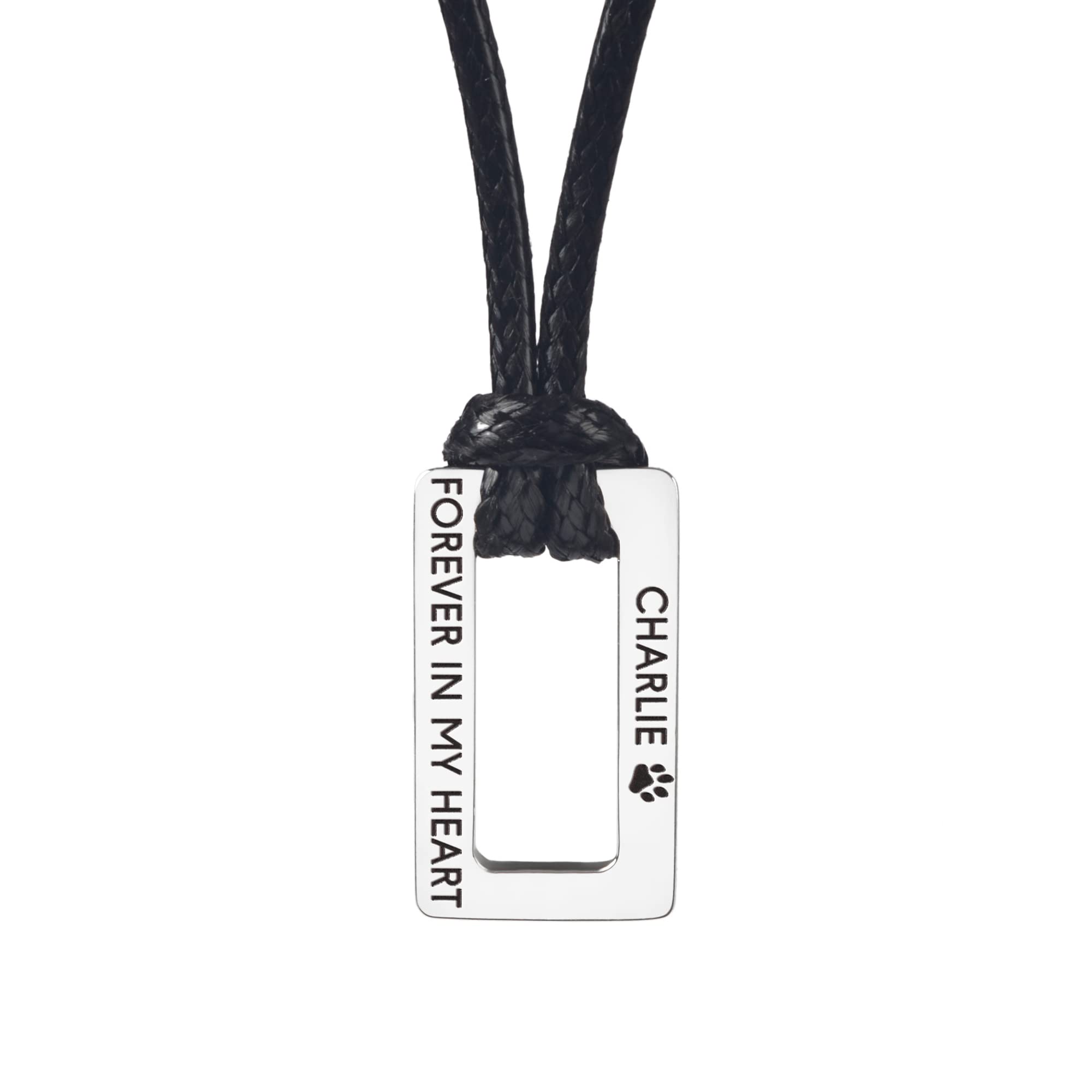 Personalized PU Leather Pet Name Necklace with 925 Sterling Silver Charm - Memorial Gift for Dog, Cat Loss, Birthday Present for Pet Lovers - Perfect for Remembrance, Sympathy & Special Occasions