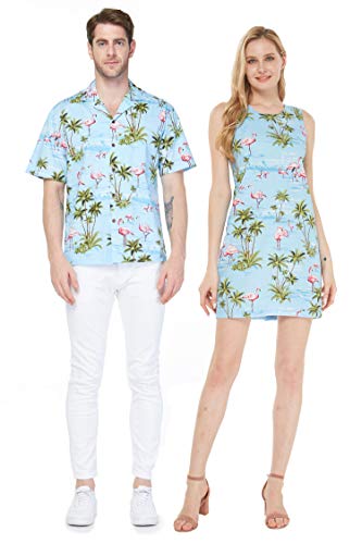 Pink Flamingos in Blue