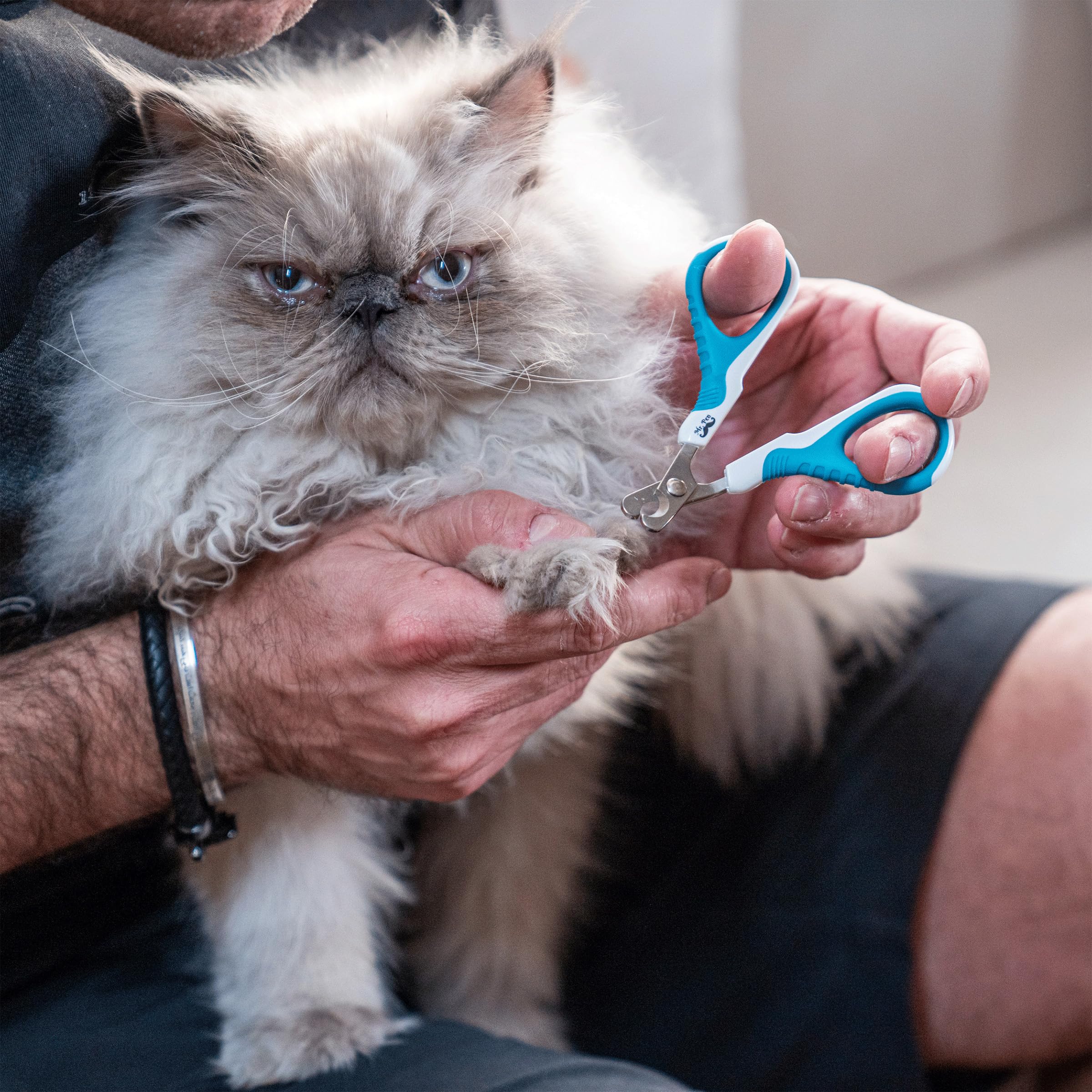 Mr. Pen Cat Nail Clippers for Small Cats & Kittens - Professional Pet Nail Trimmer with Safety Guard - Perfect for Grooming at Home or Vet Visits