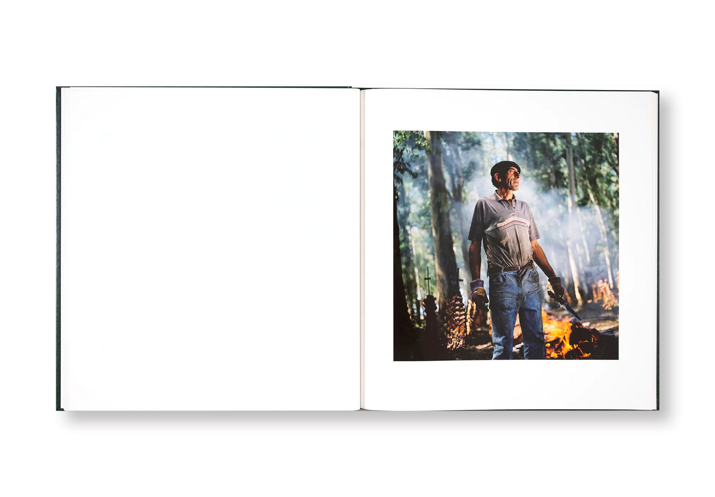 ON THE SIXTH DAY by Alessandra Sanguinetti - Signed Photography Book - Perfect for Art Collectors & Photography Enthusiasts