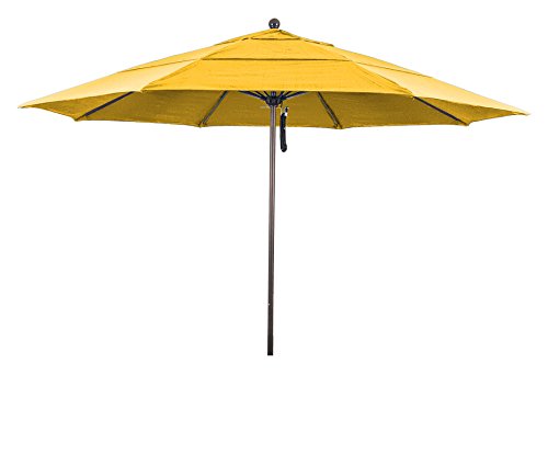 Sunflower Yellow