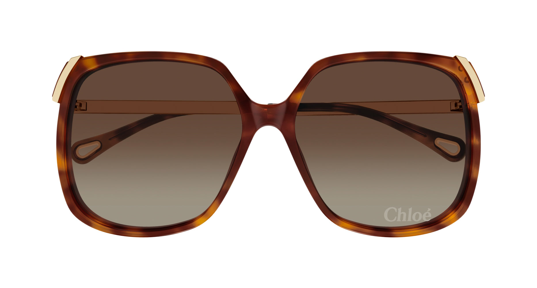 Chloe CH0286S Sunglasses for Women - UV Protection Polarized Fashion Sunglasses - Perfect for Driving, Beach & Outdoor Activities