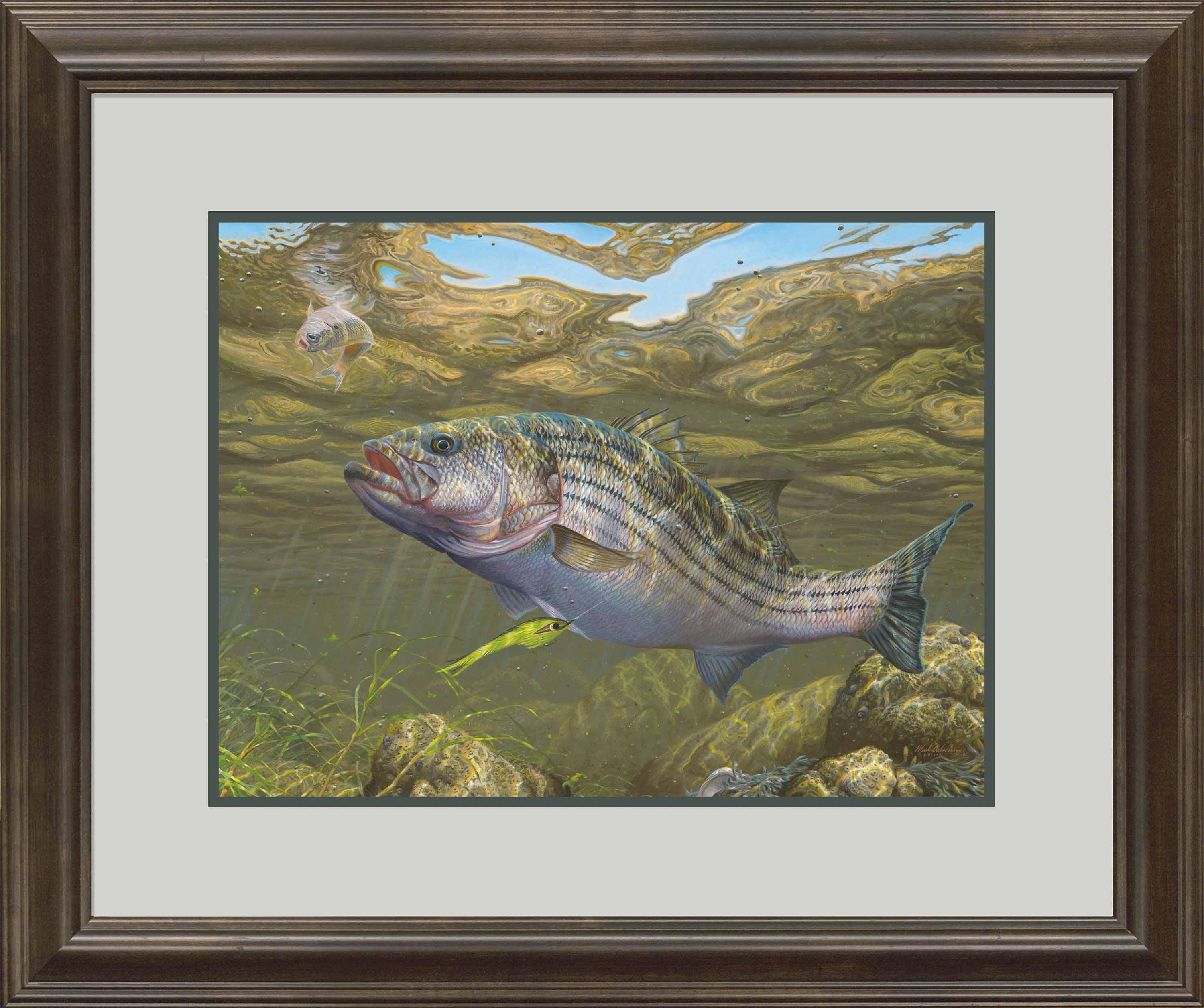 Limited Edition Striped Bass Fishing Paper - Premium Quality for Anglers & Collectors | Perfect for Framing, Scrapbooking & Decorative Art Projects