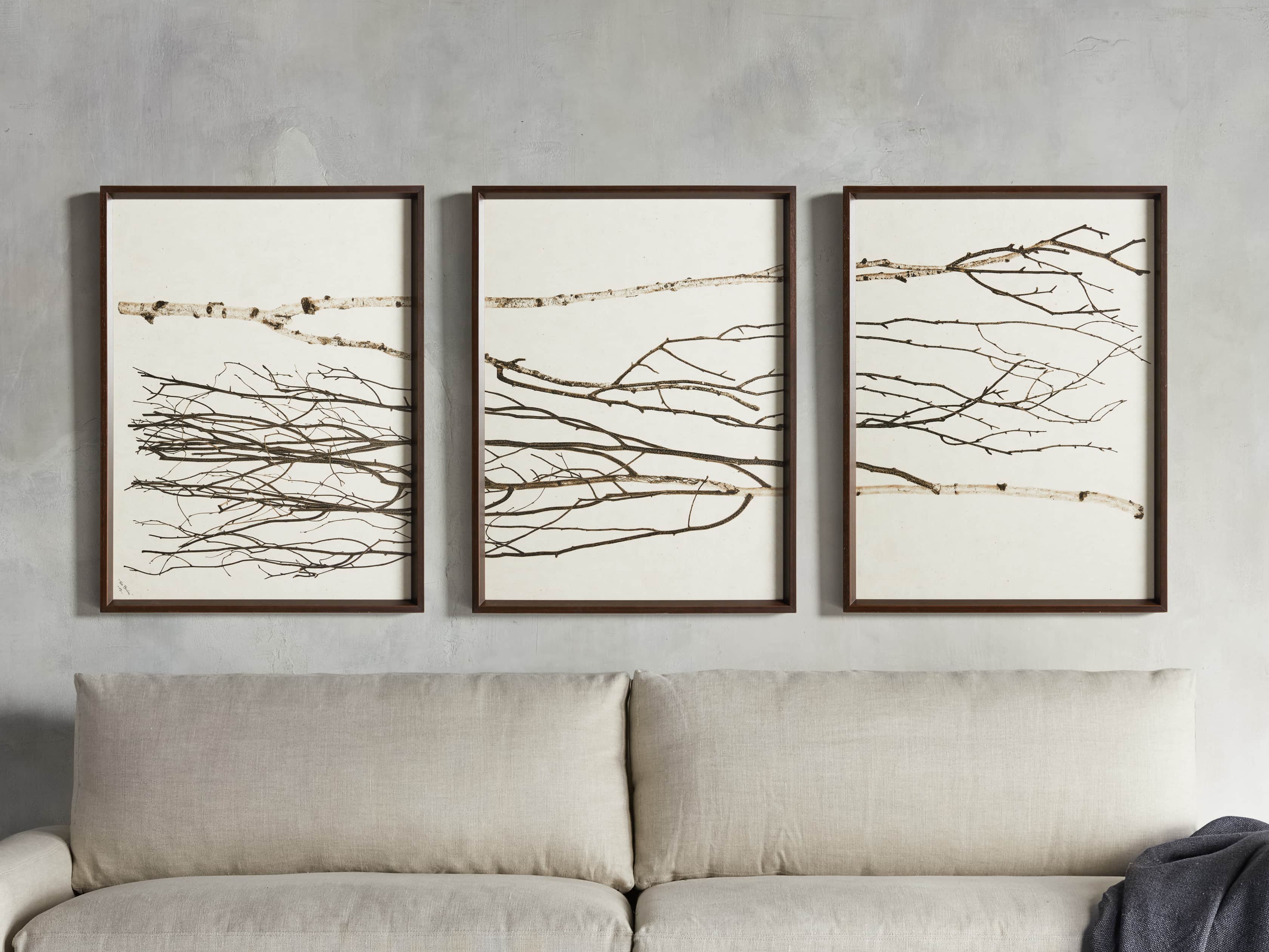 Birch Tree Framed Art Prints Set of 3 - Nature Inspired Wall Decor for Living Room, Bedroom & Office