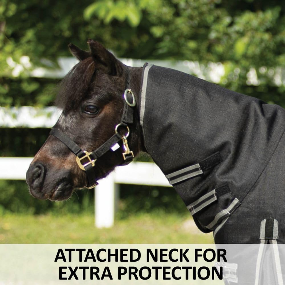 Blizzard II Surcingle Mini Turnout Horse Blanket - Waterproof & Breathable Winter Horse Blanket with Euro Fit Attached Neck | Ideal for Cold Weather Riding, Stable Use & Outdoor Horse Protection