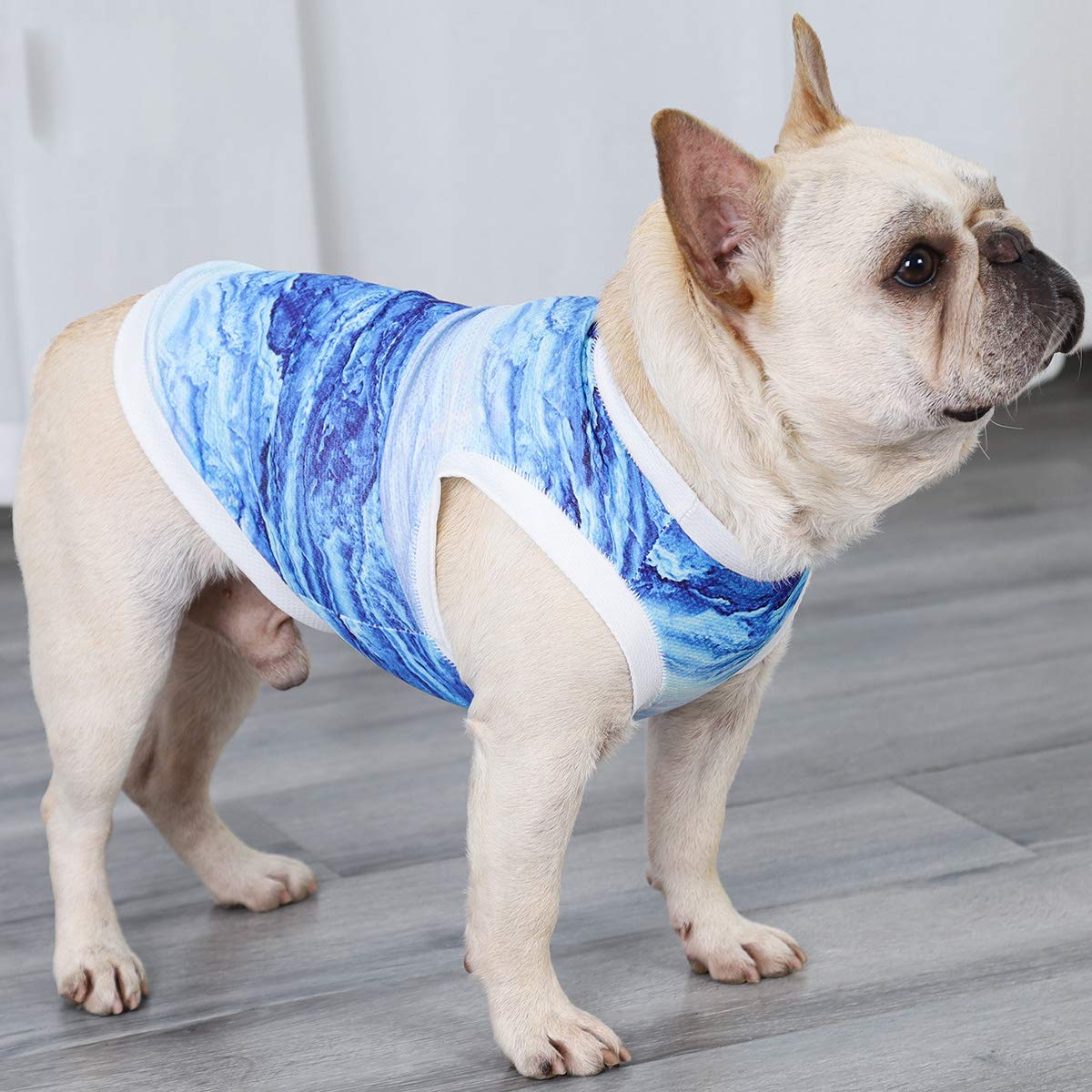 Dog Cooling Vest for Summer - Instant Cooling Pet Shirt & Harness for Small Dogs & Puppies (Medium) - Perfect for Outdoor Walks, Hiking & Hot Weather