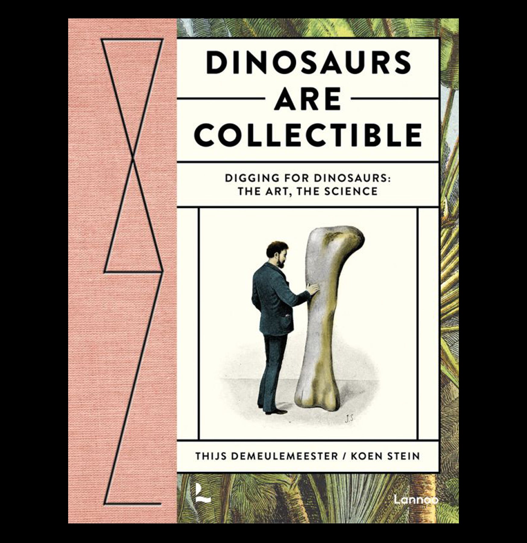 Collectible Dinosaur Fossils: The Art and Science of Dinosaur Excavation - Perfect for Educational STEM Activities and Home Decor