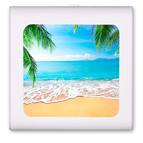 View from the Sand on Beach