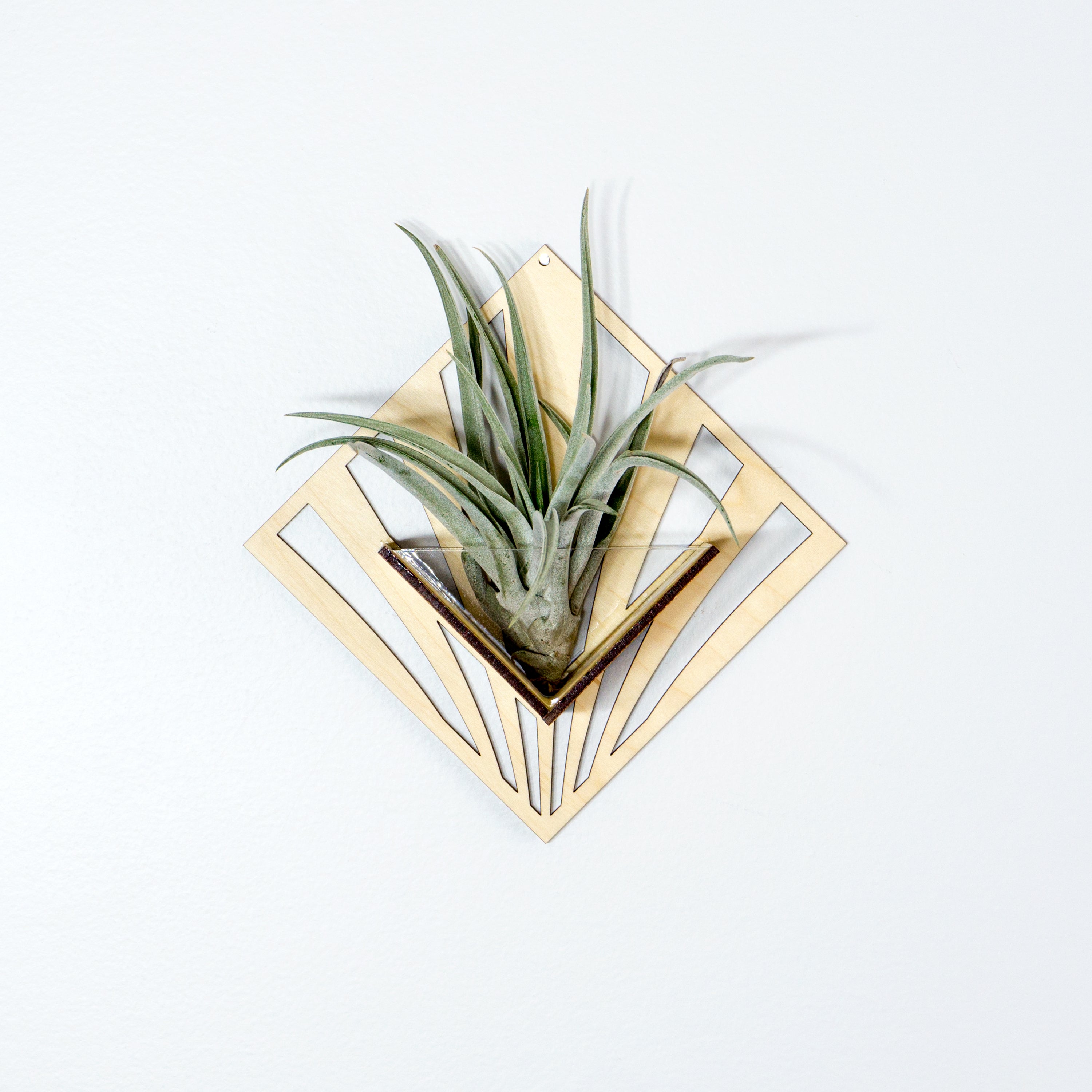 Handmade Wooden Quadrate Wall Planter Set of 2 - Air Plant Holder & Mounted Hanger Display for Tillandsia | Rustic Home Decor, Unique Plant Lover Gift Idea for Living Room, Bedroom or Office Decor