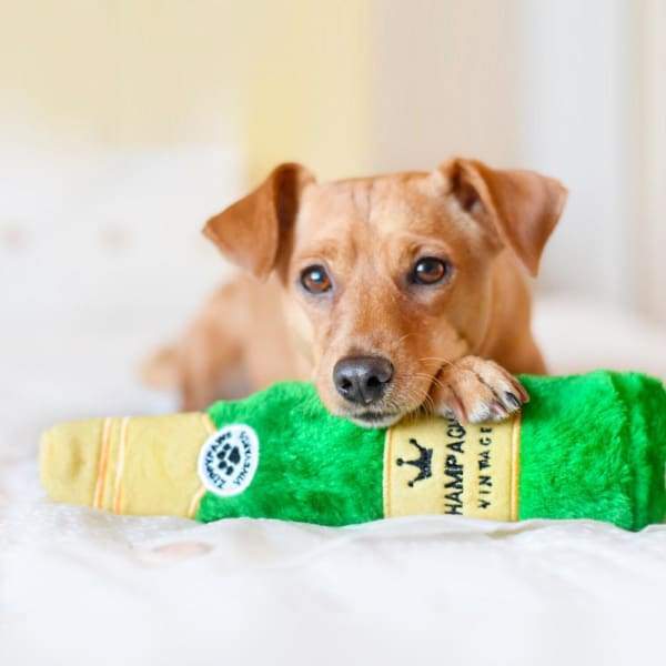 ZippyPaws Happy Hour Crusherz Champagne Bottle Dog Toy - Durable Chew Toy for Small & Medium Dogs, Interactive Play & Stress Relief - Perfect for Parties, Playtime & Training Sessions