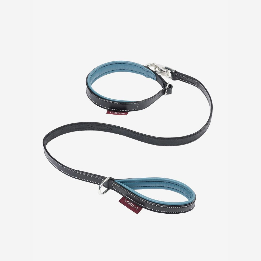 LeMieux Adjustable Puppy Leash and Collar Set for Small Dogs - Perfect for Training, Walking, and Outdoor Adventures