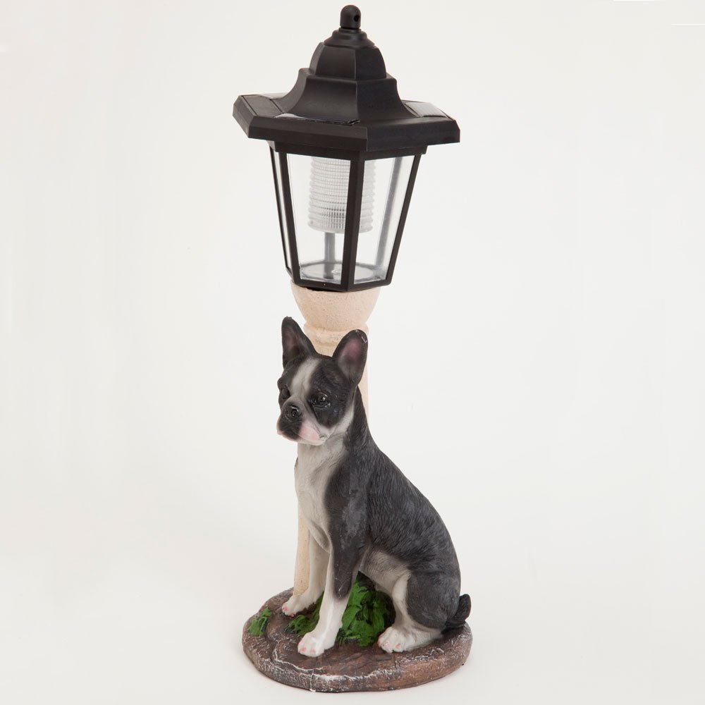 Solar Powered Boston Terrier Lantern - LED Resin Dog Sculpture for Garden Decor, Outdoor Pathway Lighting, Patio & Yard Ornament - Weatherproof Solar Garden Light