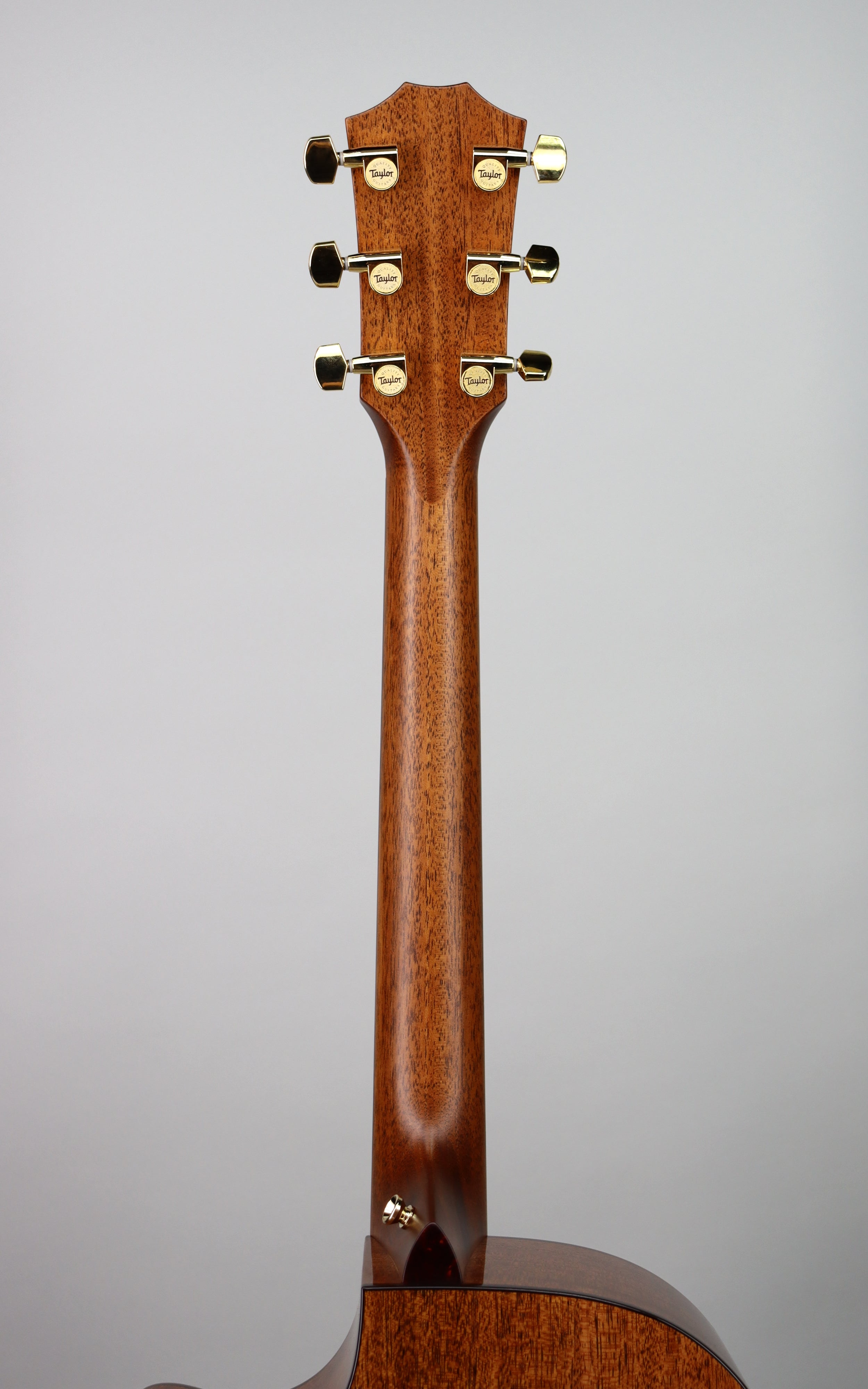 Taylor Legacy 514ce Limited Signed Edition Acoustic Guitar - Handcrafted Premium Tonewood for Professional Musicians & Collectors | Perfect for Live Performances, Studio Recording & Gift Giving