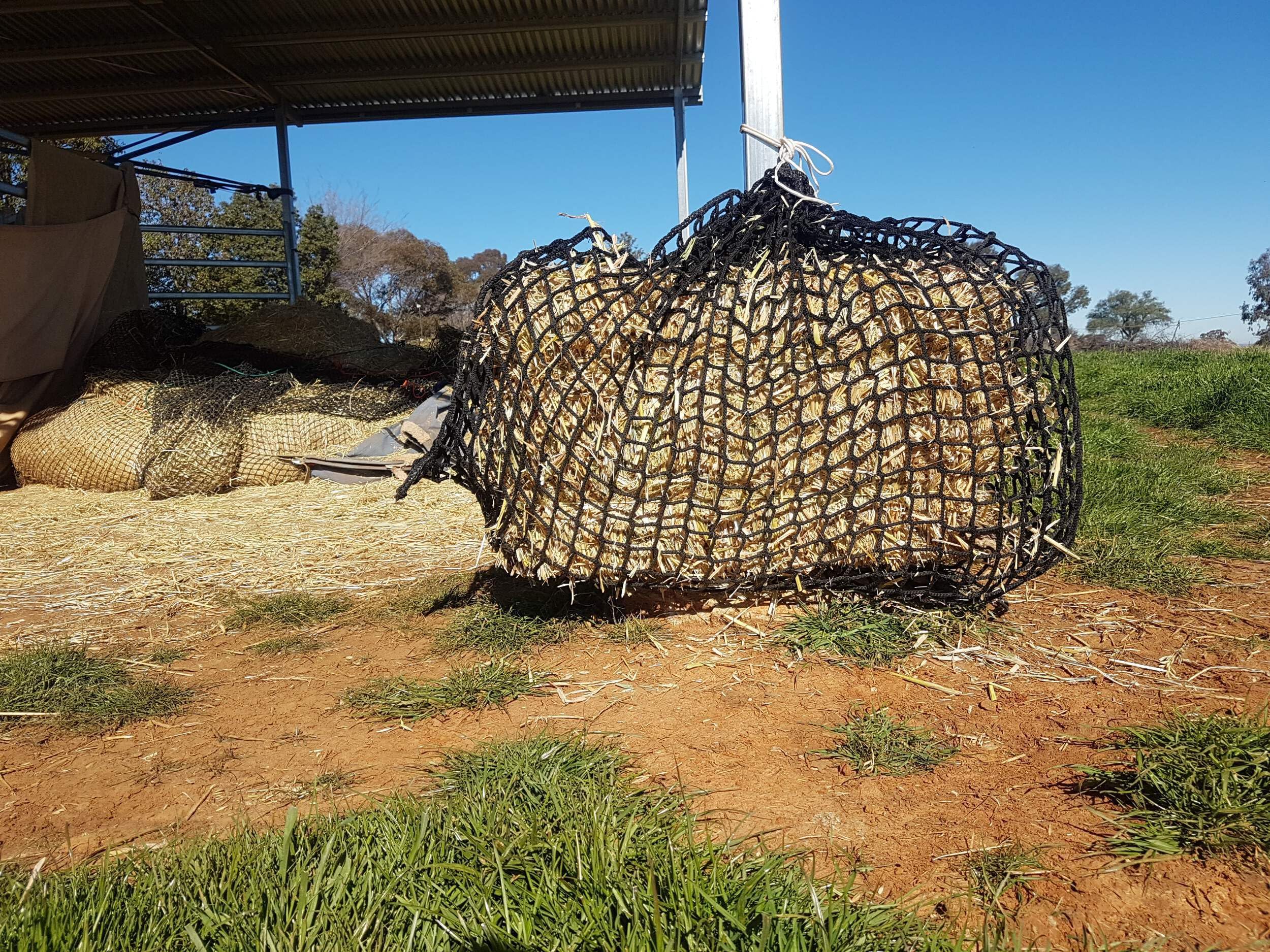 Large Knotless Slow Feed Hay Net 3/4