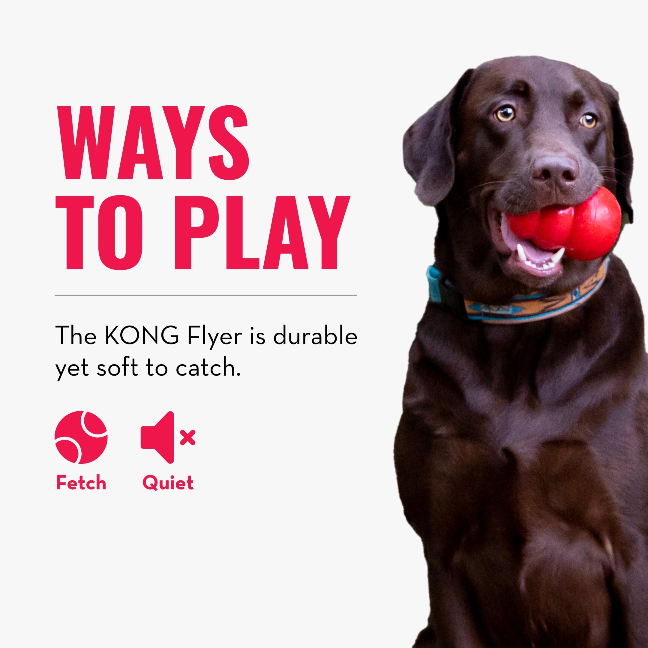 Durable KONG Flyer Natural Rubber Flying Disc Dog Toy - Safe Fetch & Outdoor Play for Small Dogs - Perfect for Park, Beach & Backyard Fun