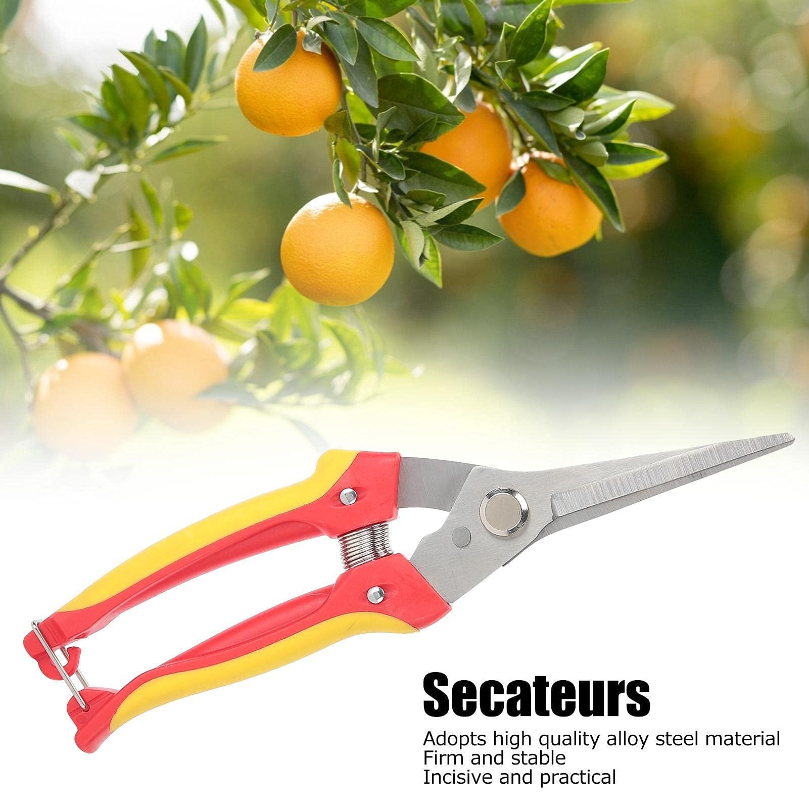 Multi-Functional Branch Pruning Shears - Professional Gardening Scissors for Trees, Shrubs & Potted Plants | Perfect for Trimming, Pruning & Landscaping | Ideal for Home Gardeners & Professionals