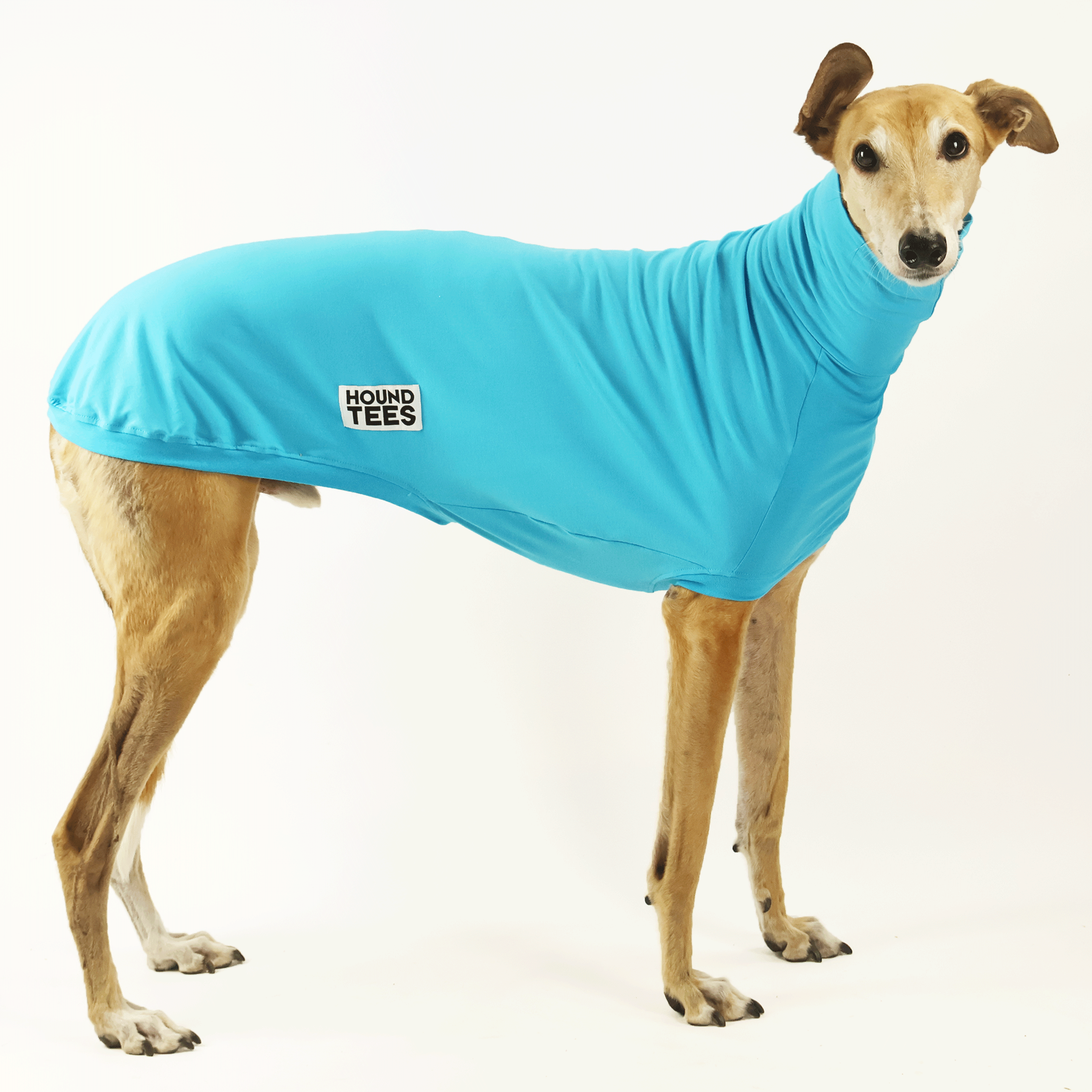 Bluey Greyhound Sleeveless Base Layer Top - Breathable Athletic Shirt for Running, Cycling & Workouts - Moisture Wicking Performance Wear for Men & Women