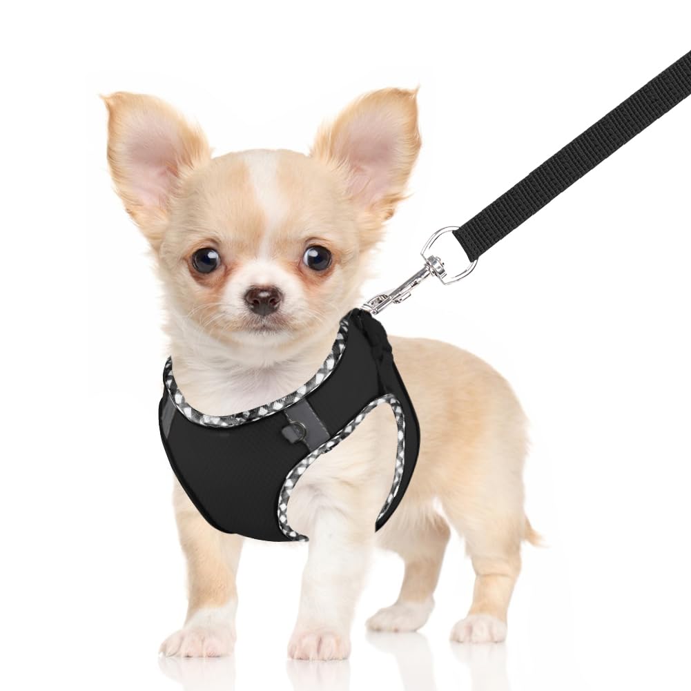 No Pull Adjustable Dog Harness & Leash Set for Small Medium Dogs - Breathable Mesh Reflective Puppy Harness with Soft Padded Vest, Easy Step-in Design (Black, Size M) - Perfect for Walking, Training & Outdoor Adventures