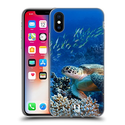 Sea Turtle Sitting On Coral Reef