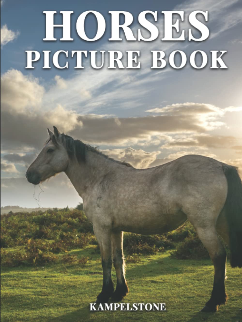 100 Beautiful Horse Images Hardcover Book - Majestic Animal Photography Coffee Table Decor & Housewarming Gift for Equestrian Lovers | Perfect for Living Room Display, Office Decor, and Animal Theme Parties