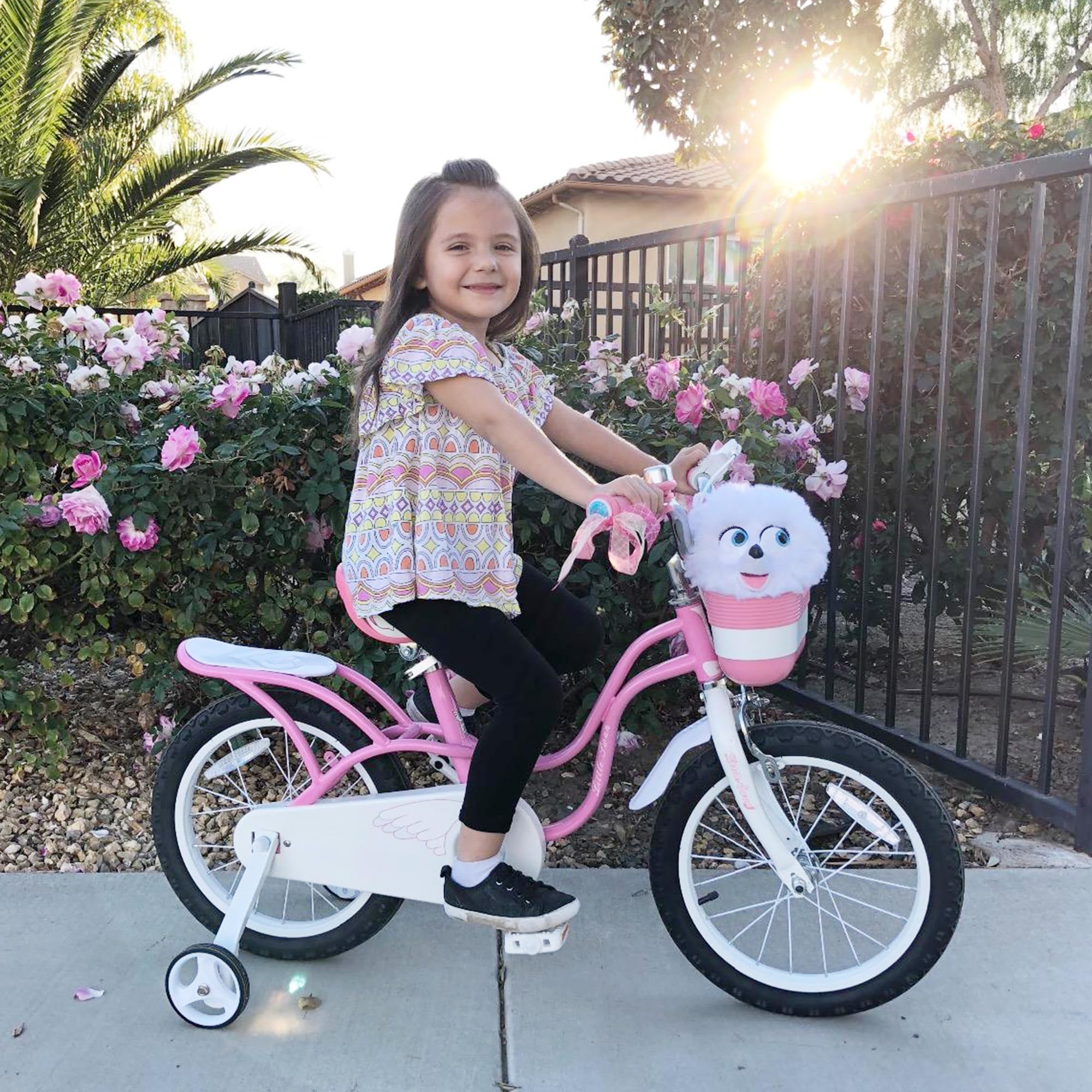 Royalbaby Princess Girls Bike 12-20 Inch Kids Bicycle with Basket for Ages 3-12 | Perfect for Outdoor Play, Park Rides & Neighborhood Adventures