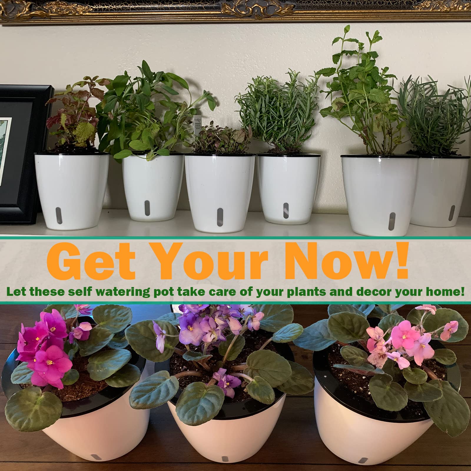 Planterhoma 6.7 Inch Self Watering Plant Pots - 4 Pack African Violet Pots with Water Level Indicator, Drainage Holes & Wick System - Ideal for Orchids, Devil's Ivy, Succulents - Perfect for Home, Office & Indoor Gardening