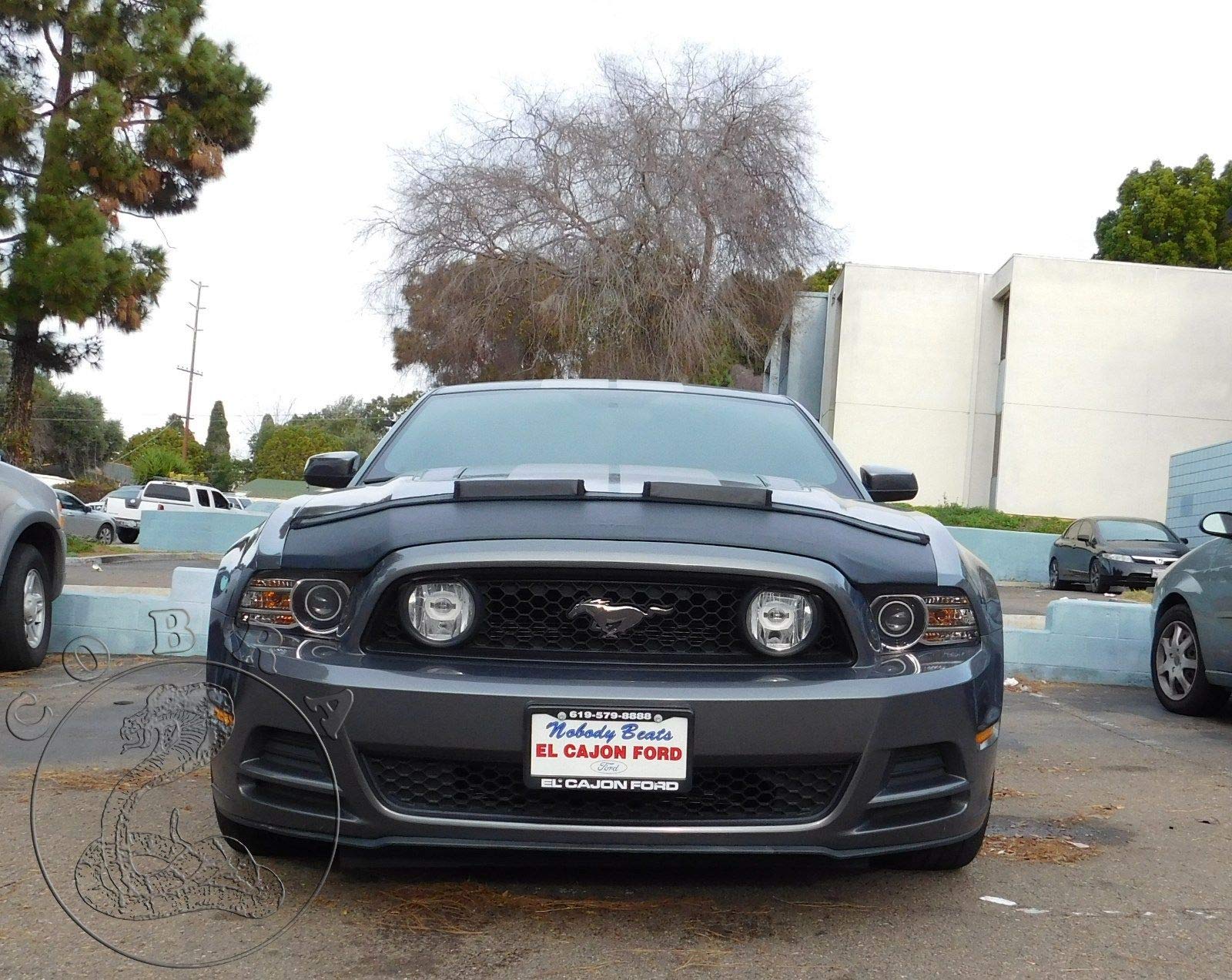 2013-2014 Ford Mustang GT Car Hood Mask Bonnet Bra - Protective Cover for Dust, Rocks & Road Debris - Perfect for Road Trips & Car Shows