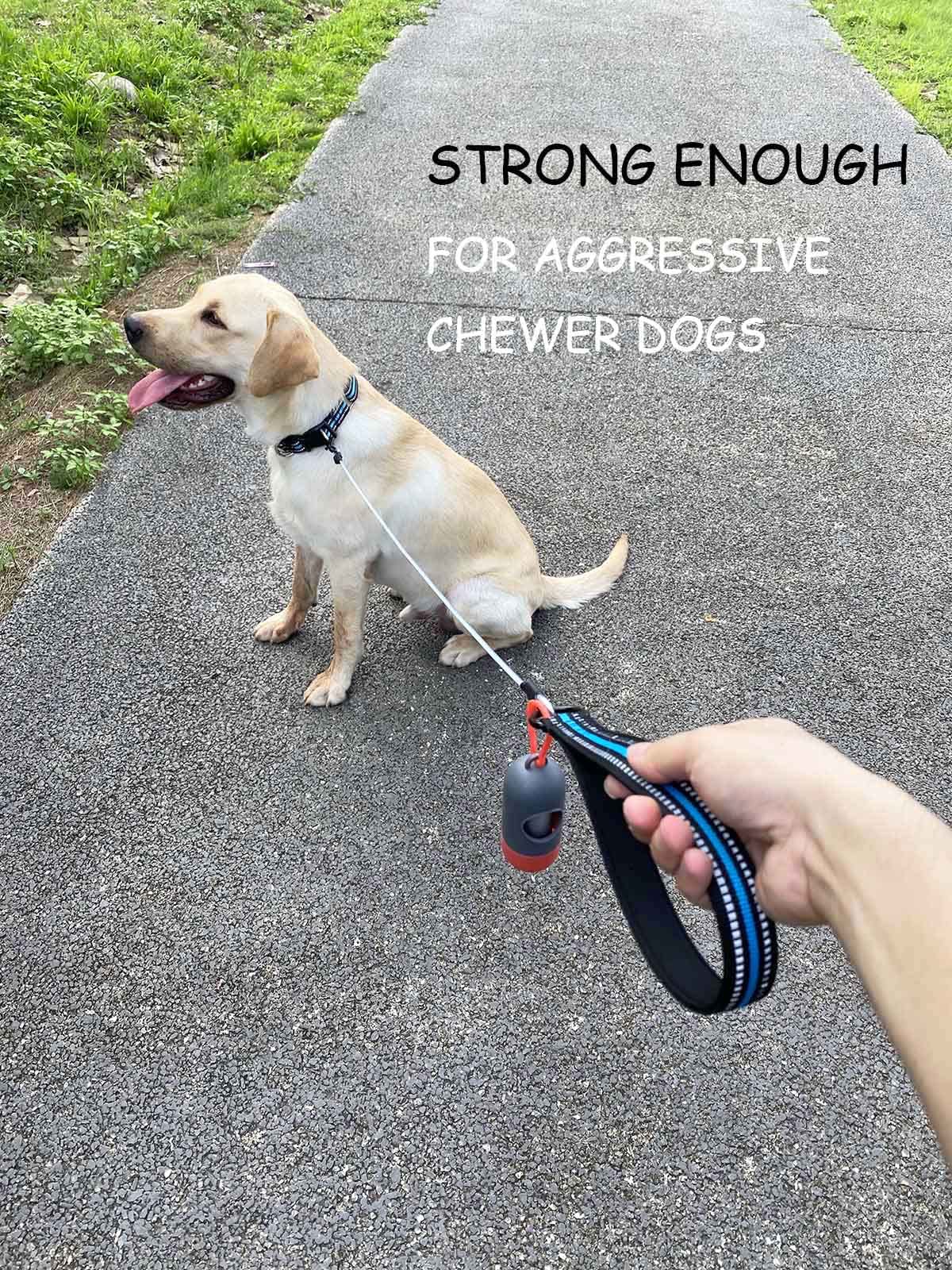 Chew Proof Dog Leash - 4ft Steel Cable Dog Lead with Reflective Padded Handle, Waterproof & Durable for Medium/Large Dogs (Blue) - Perfect for Walking, Running, Training & Nighttime Safety