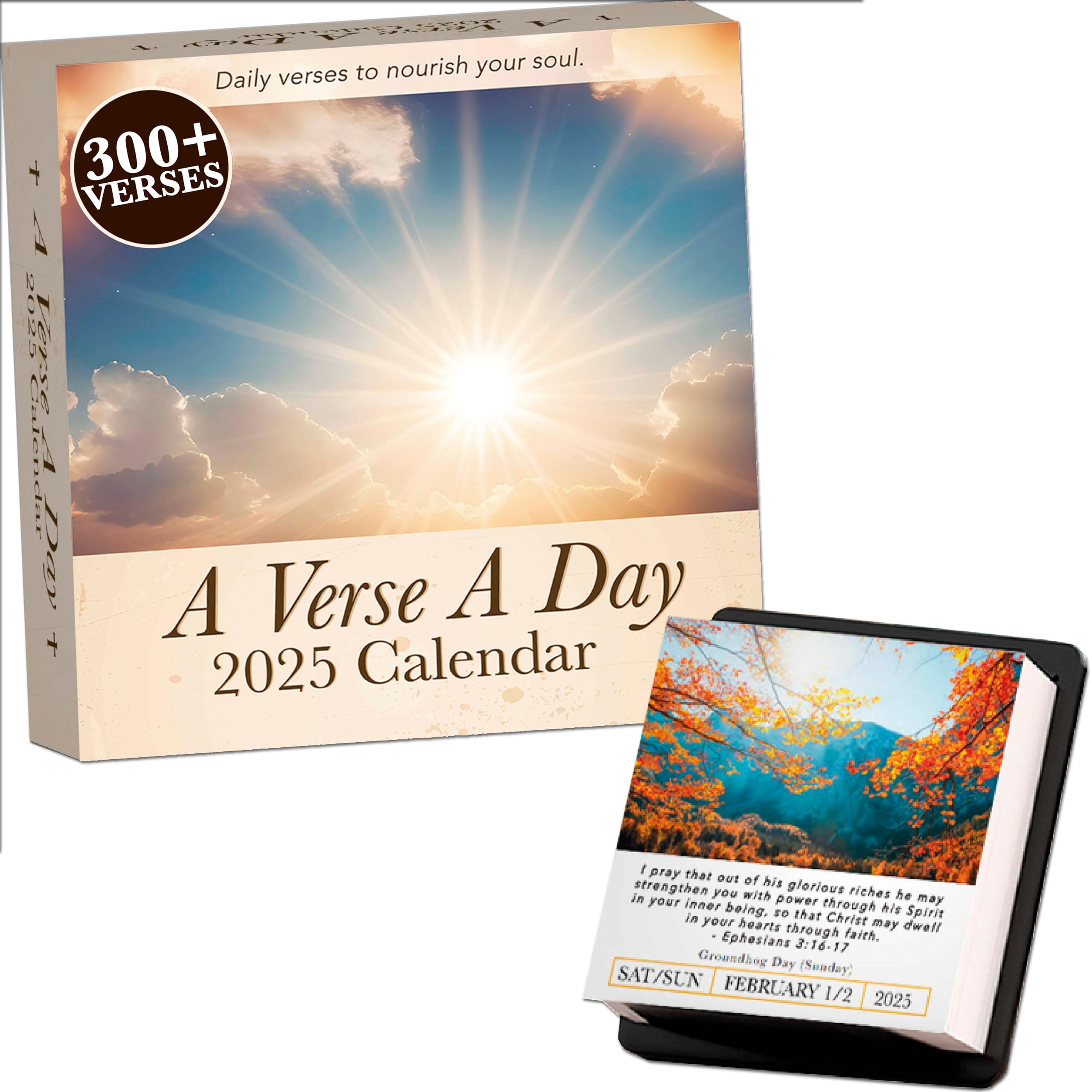 2025 Daily Bible Verse Calendar | 300+ Inspirational NIV Bible Verses for Christian Devotionals - Motivational Scripture for Men & Women - Perfect for Morning Meditation & Bedtime Reflection