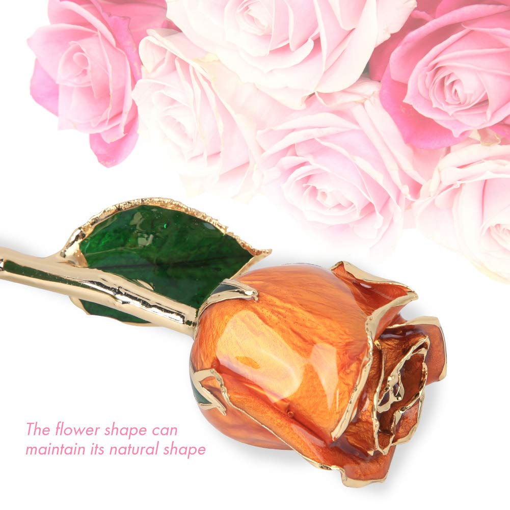 24K Gold Plated Real Rose - Luxury Dipped Flower Gift for Women, Wife, Mom, Grandma - Birthday, Anniversary, Wedding Present - Perfect for Romantic Occasions, Home Decor & Special Celebrations (Orange)