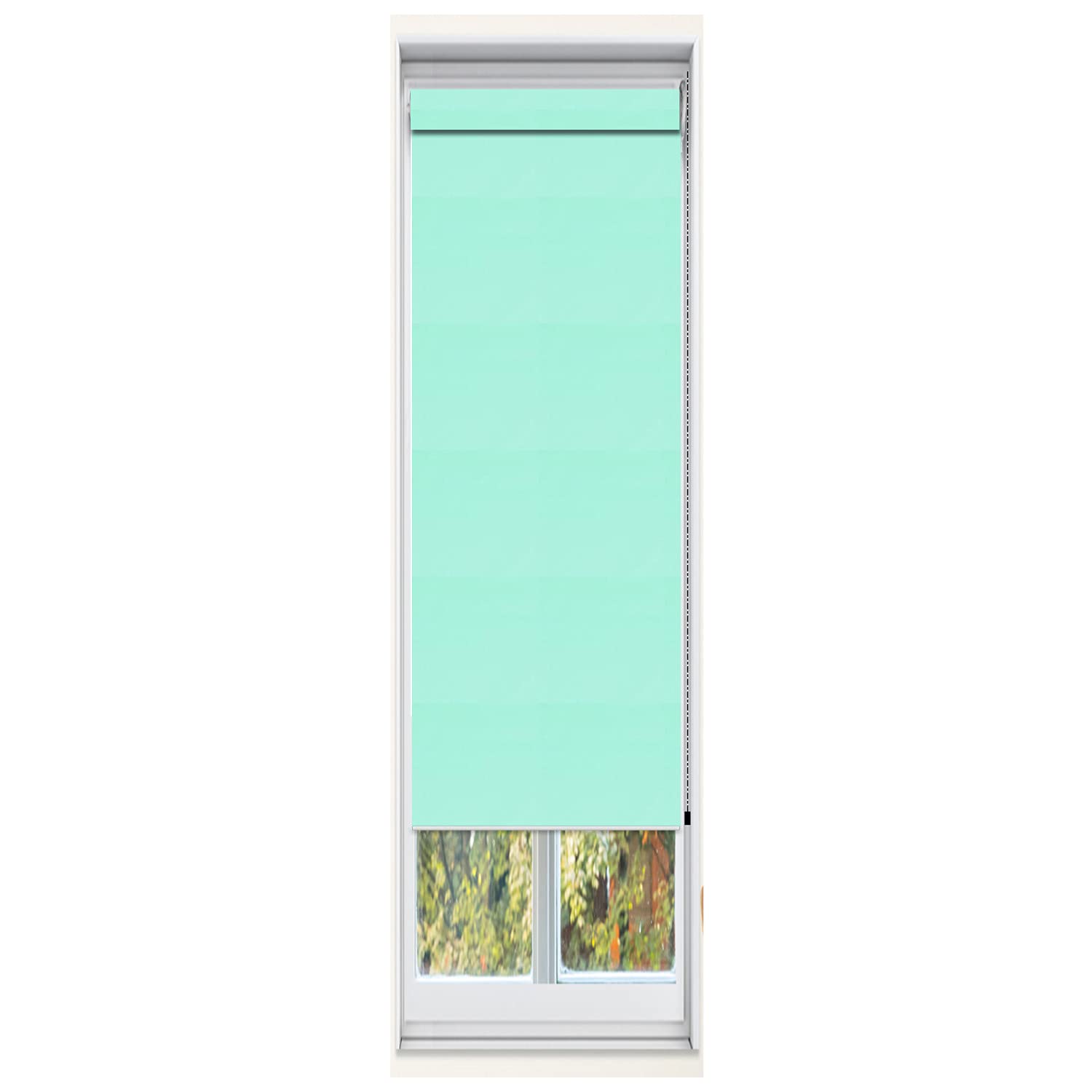 Custom Blackout Roller Window Shade 17