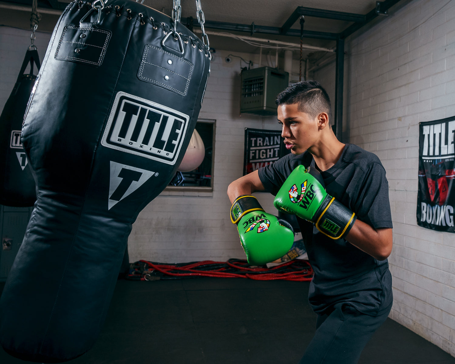 WBC by TITLE Boxing Training Gloves - Professional Boxing & MMA Sparring Gear for Fitness Training & Heavy Bag Workouts