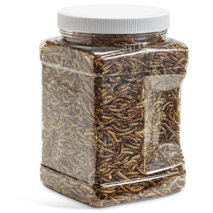 Duncraft Dried Mealworms for Birds - 12 oz High Protein Bird Food - Perfect for Wild Birds, Chickens & Reptiles - Ideal for Backyard Feeding & Pet Nutrition