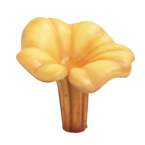 Fresh 20 Yellow Chanterelle Mushrooms - Gourmet Wild Mushrooms for Cooking, Soups & Pasta Dishes - Perfect for Chefs & Home Cooks